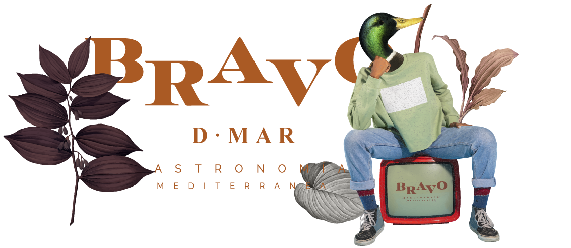 Bravo-head-webpage
